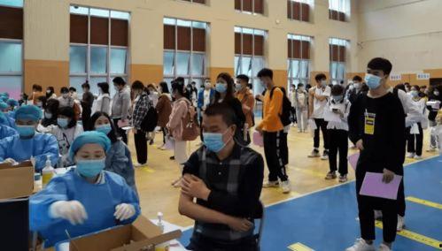 濮阳八中最新爆料消息,揭秘校园风云背后的真相